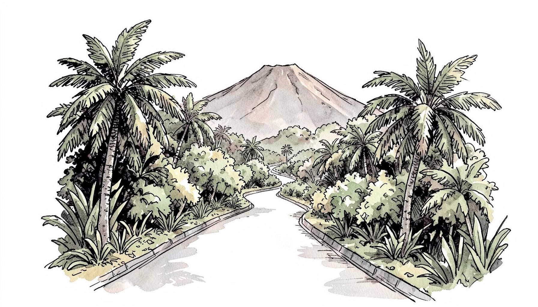 Hand-drawn ink illustration of a winding road through tropical greenery with a distant volcano silhouette, monochrome with subtle warm wash