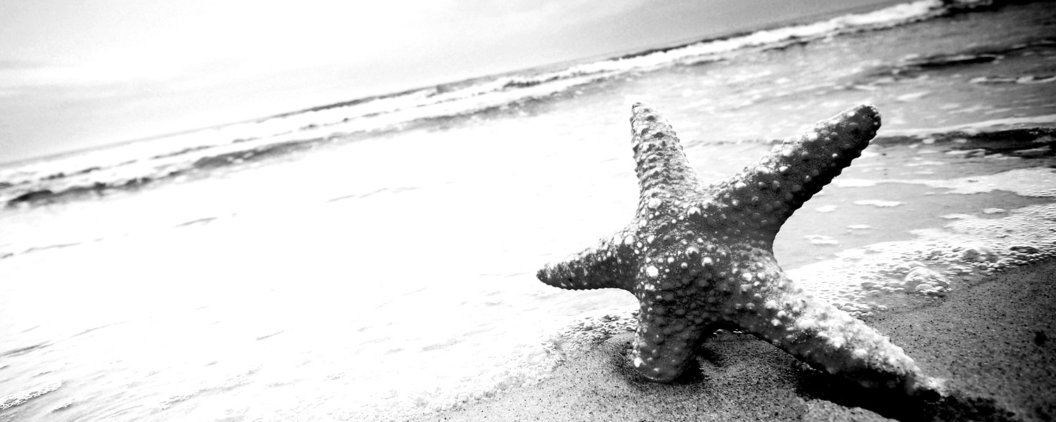 Black and white close-up of a starfish on wet sand with ocean waves in the background