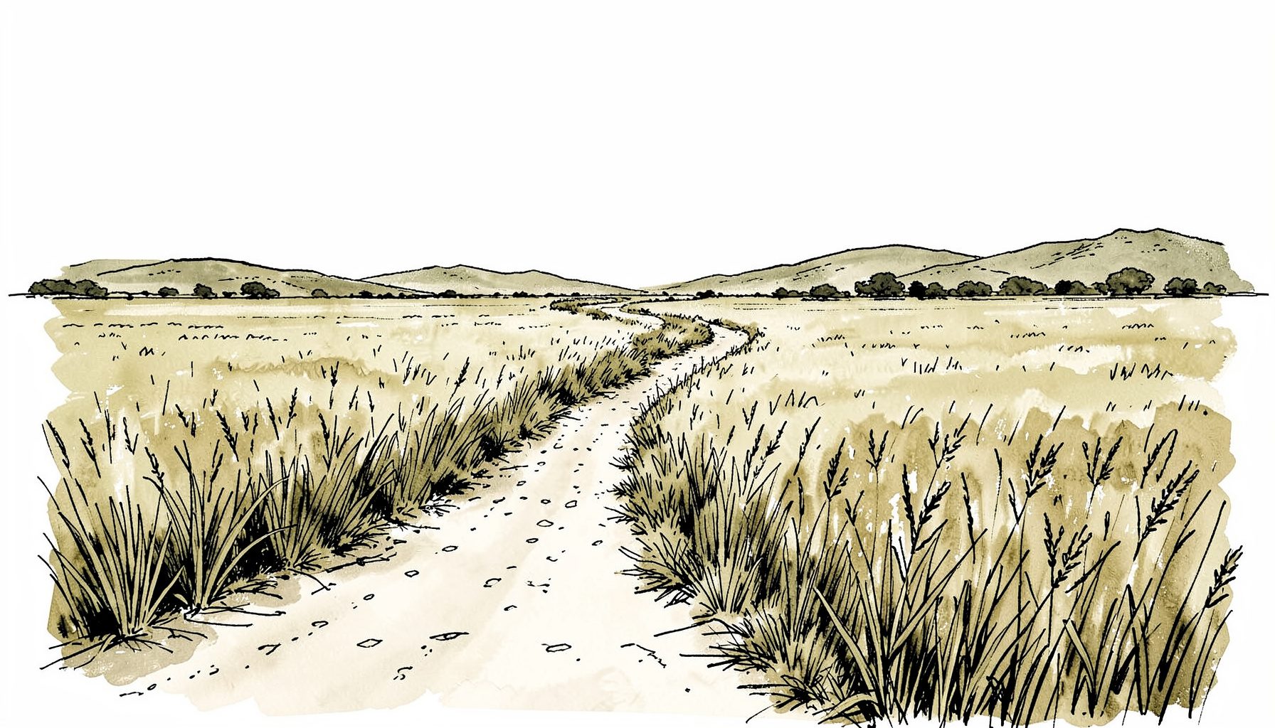 Hand-drawn ink illustration of a winding dirt road cutting through wide savanna grasslands with distant low hills under a bright sky, sepia and olive tones